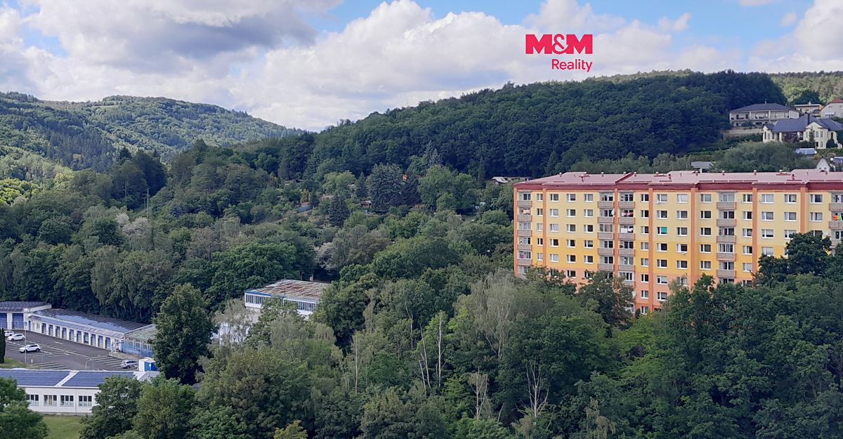 Prodej bytu 3+1 68 m²